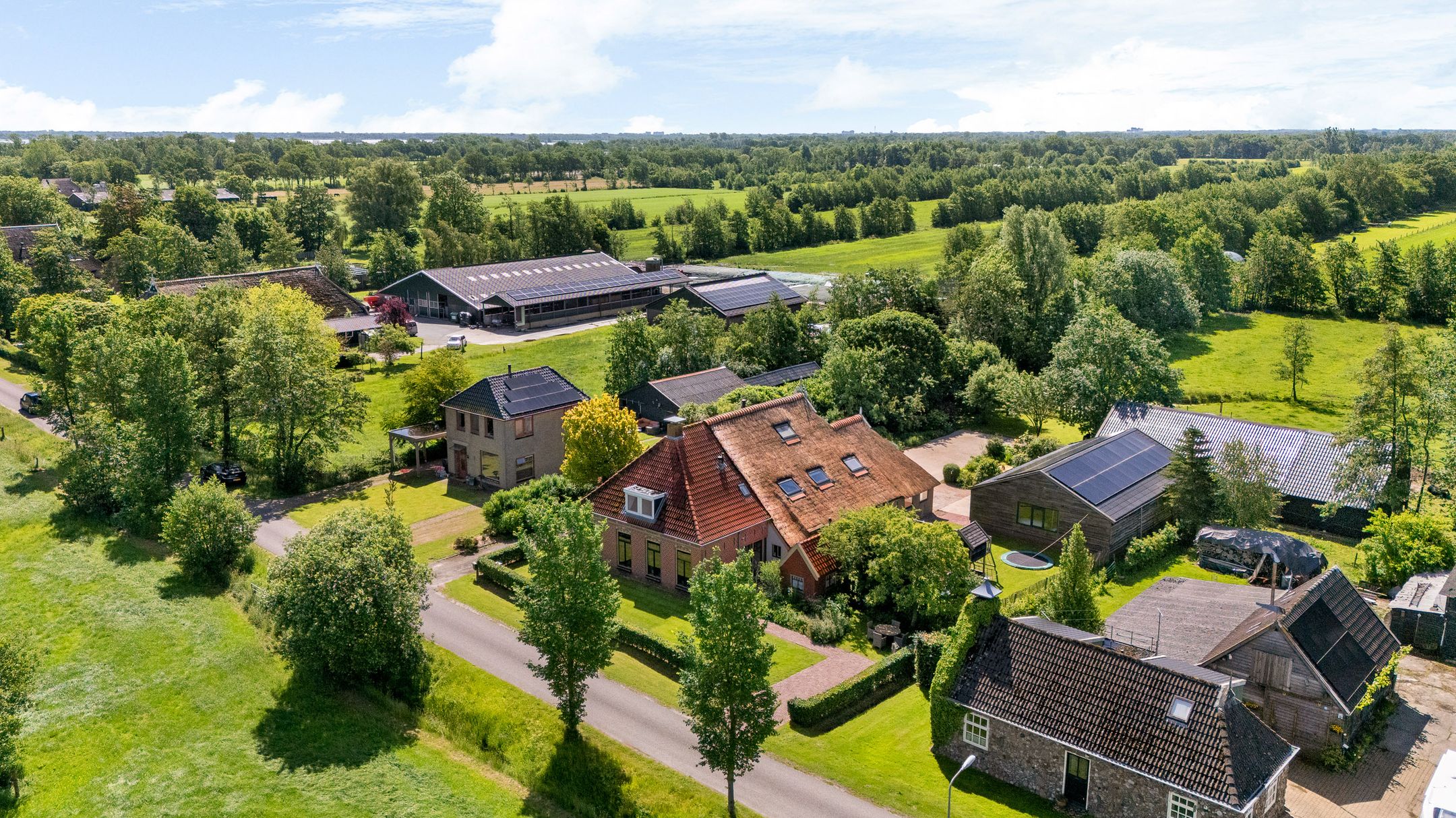 Foto van Harstewei 14, Sumar