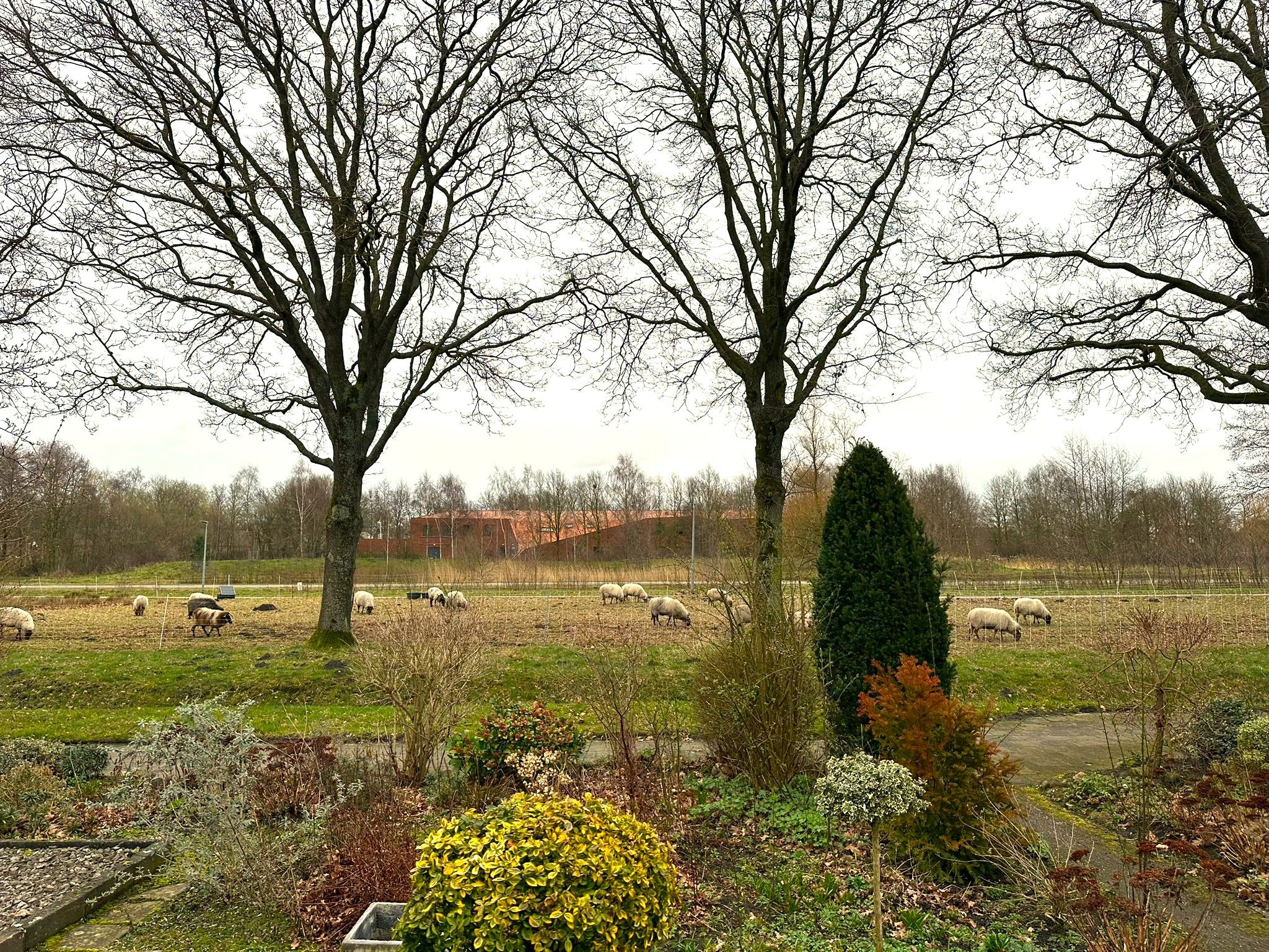 Foto van Statenlaan 61, Roden