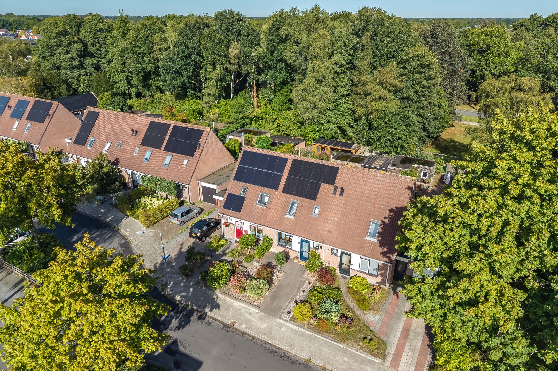 Foto van Speenkruid 11, Roden