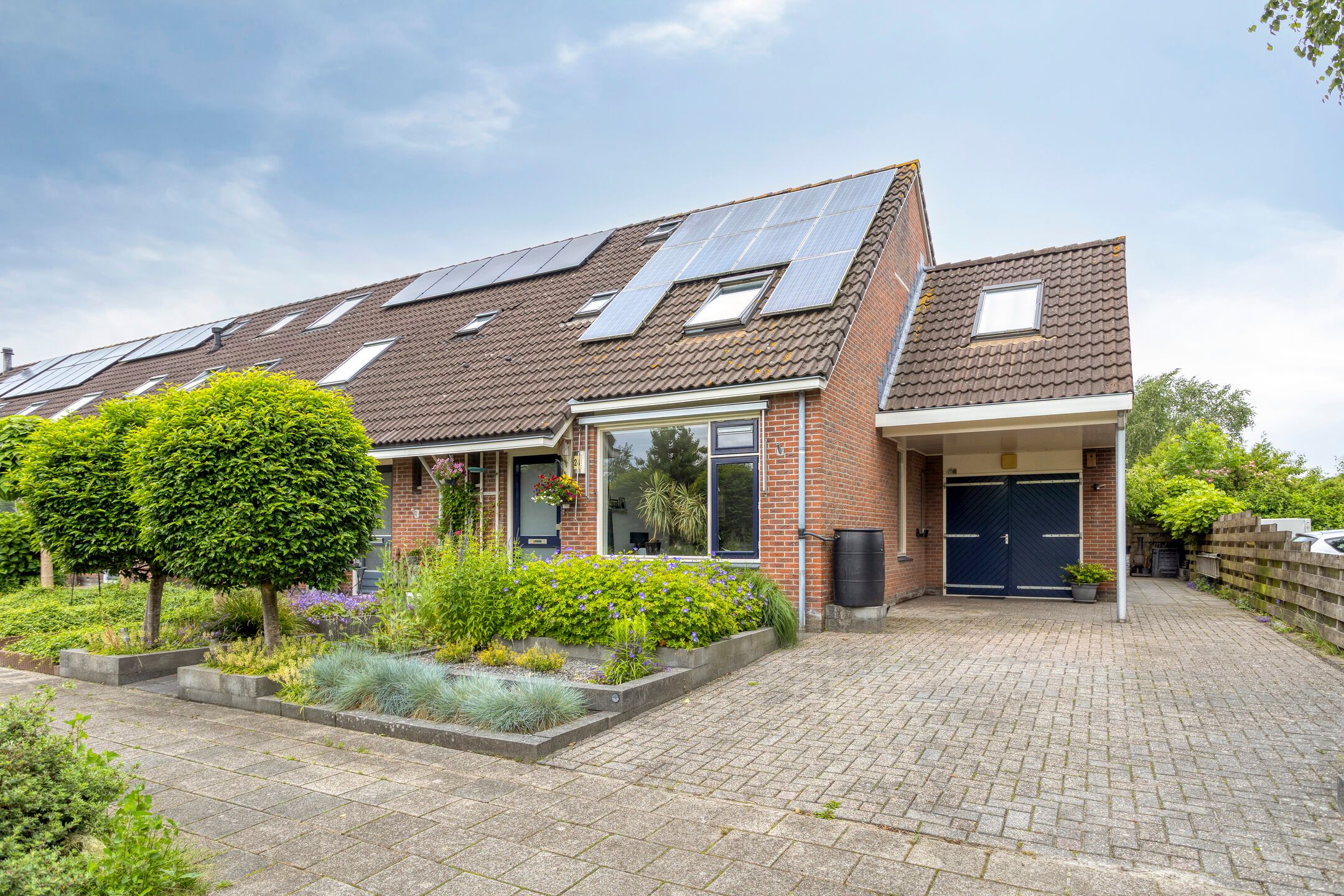 Foto van Koekoeksbloem 24, Roden