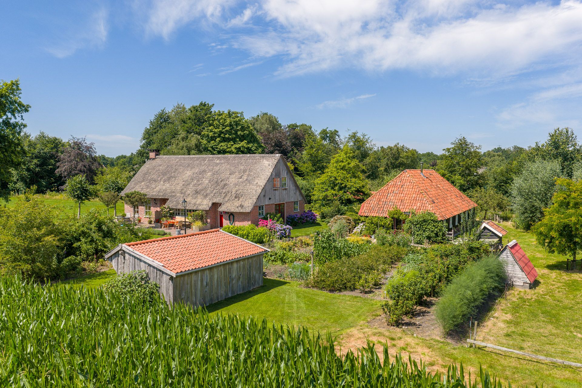 Foto van Rietweg 20, Peize