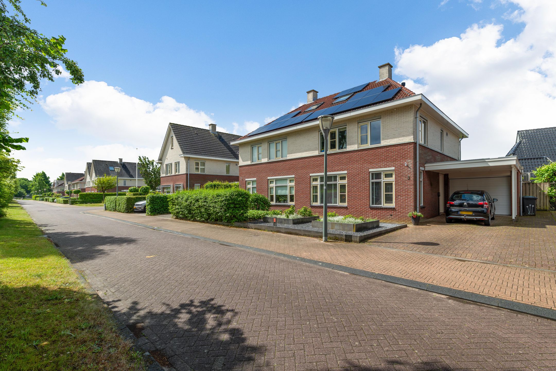 Foto van Wilg 3, Leek