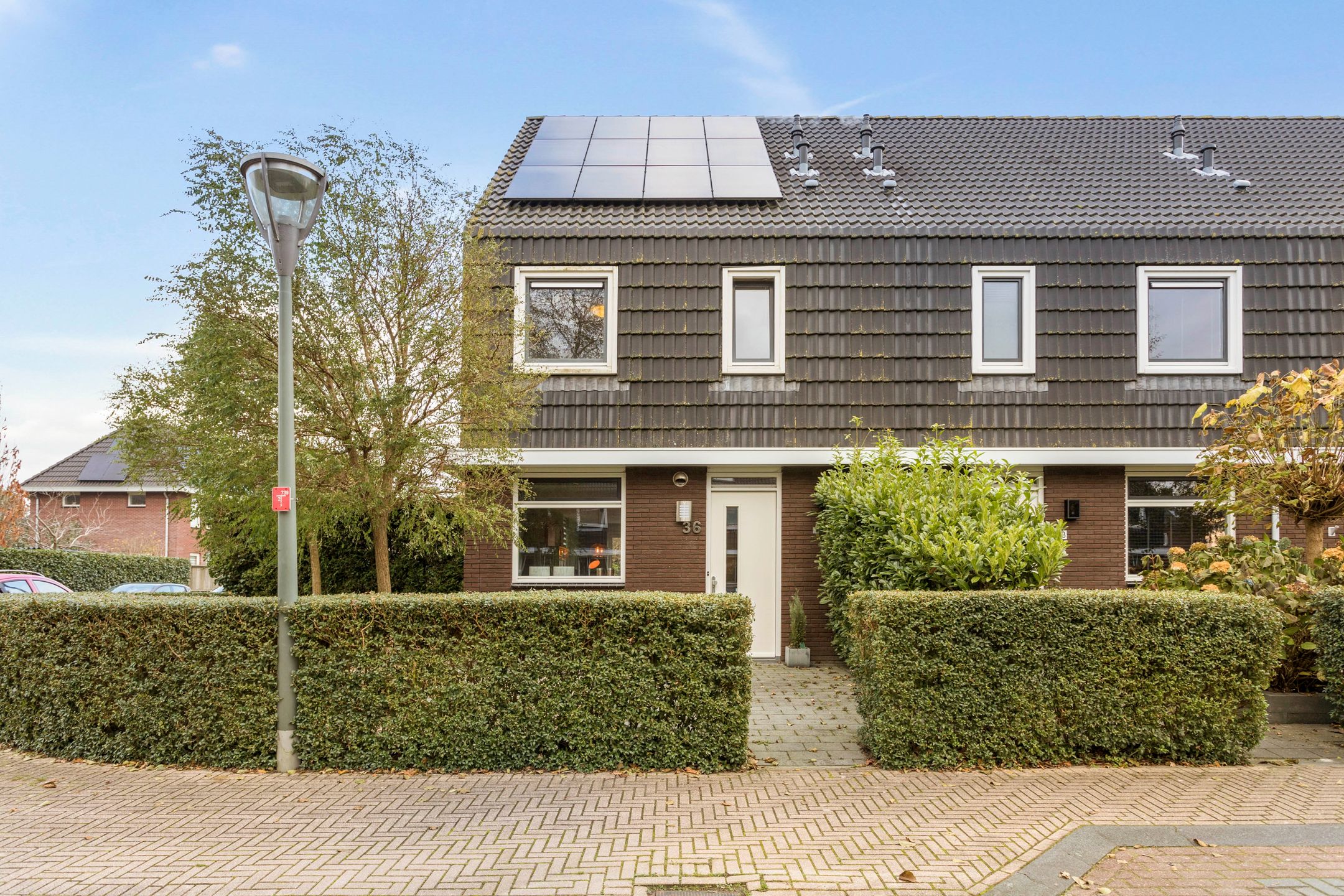 Foto van Populier 36, Leek