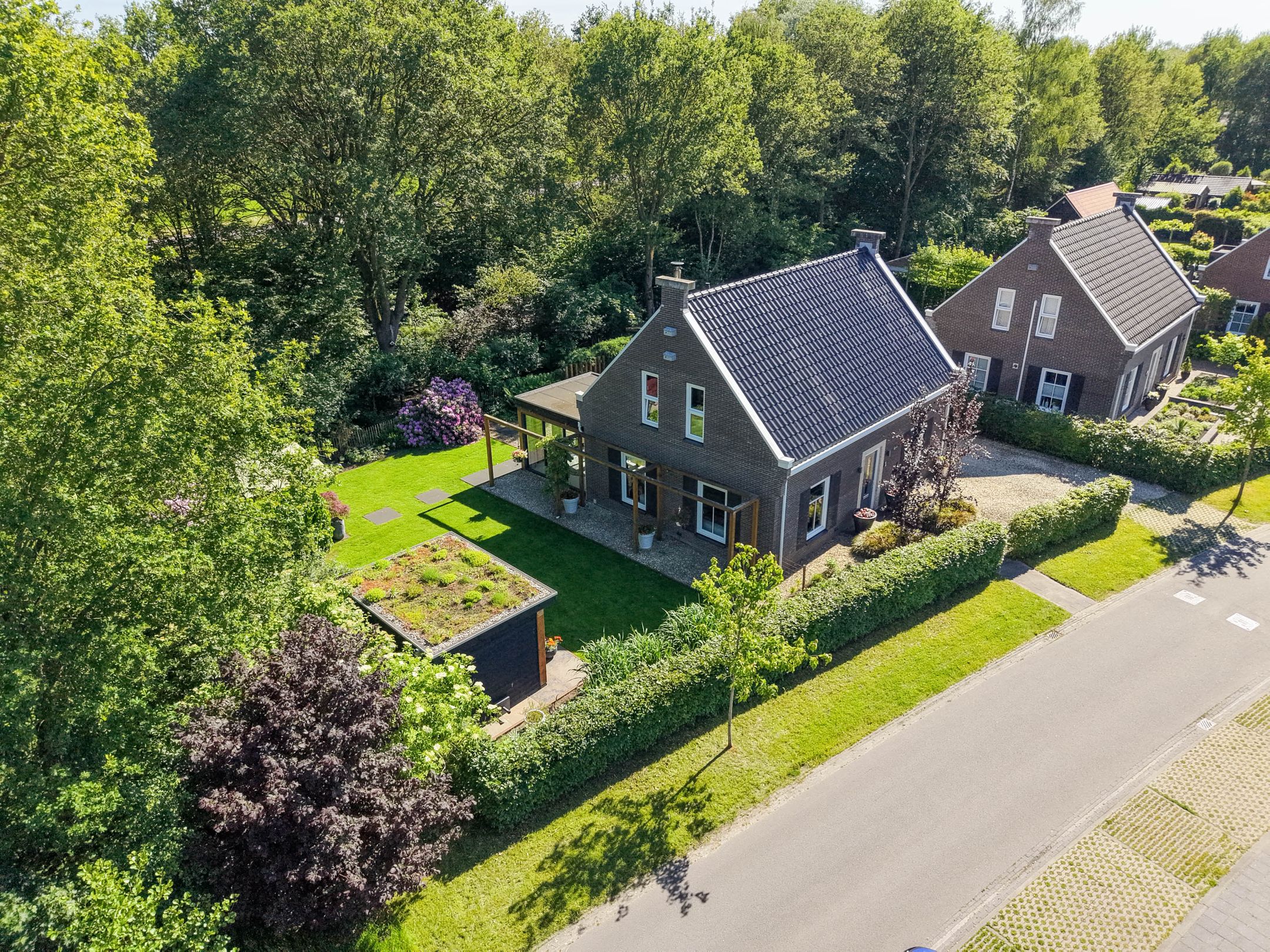 Foto van Koningsmantel 1, Assen
