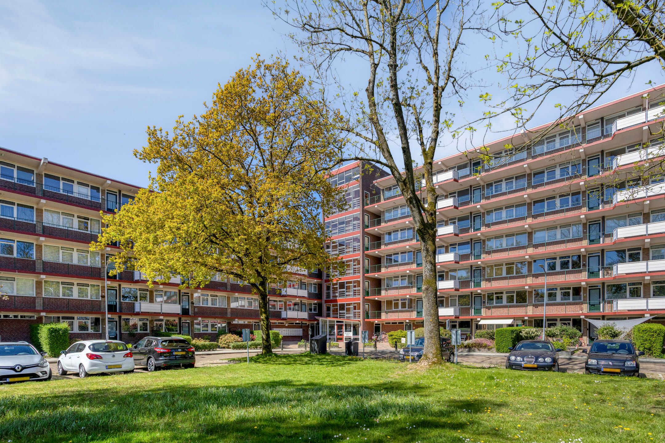 Foto van van der Scheerstraat 117, Assen
