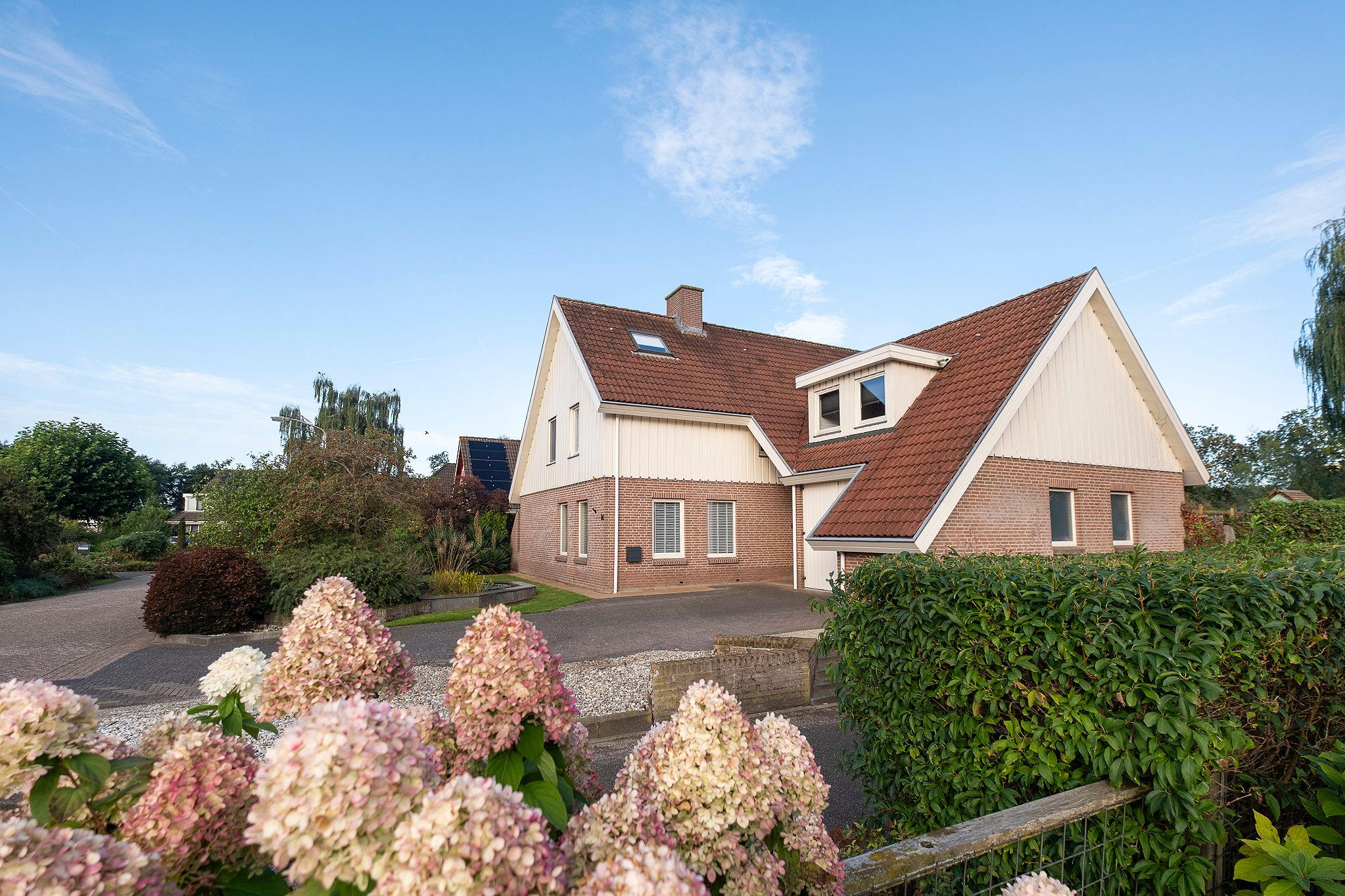 Foto van Pinksterbloem 14, Beilen