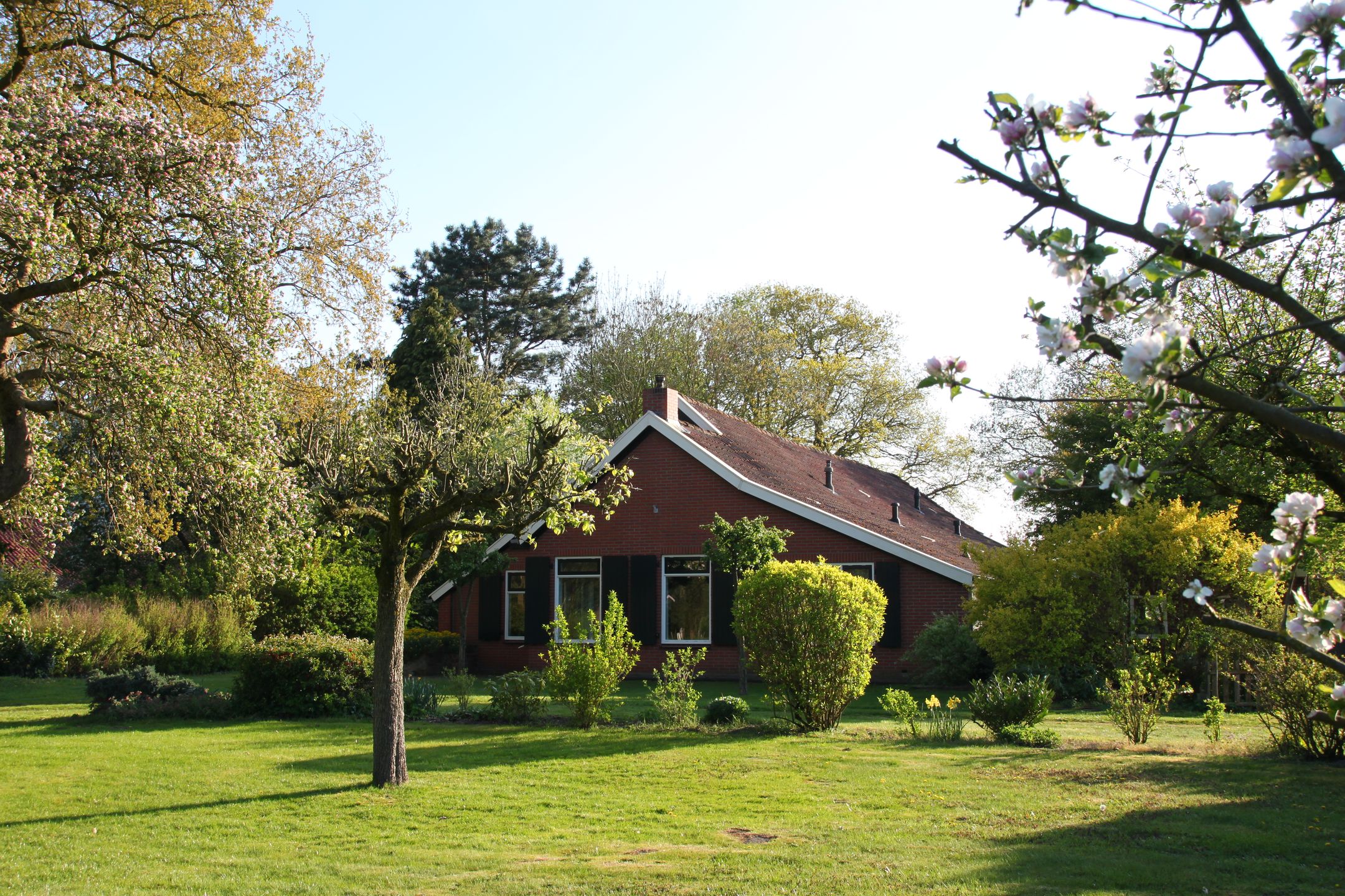 Foto van Musselweg 86, Mussel