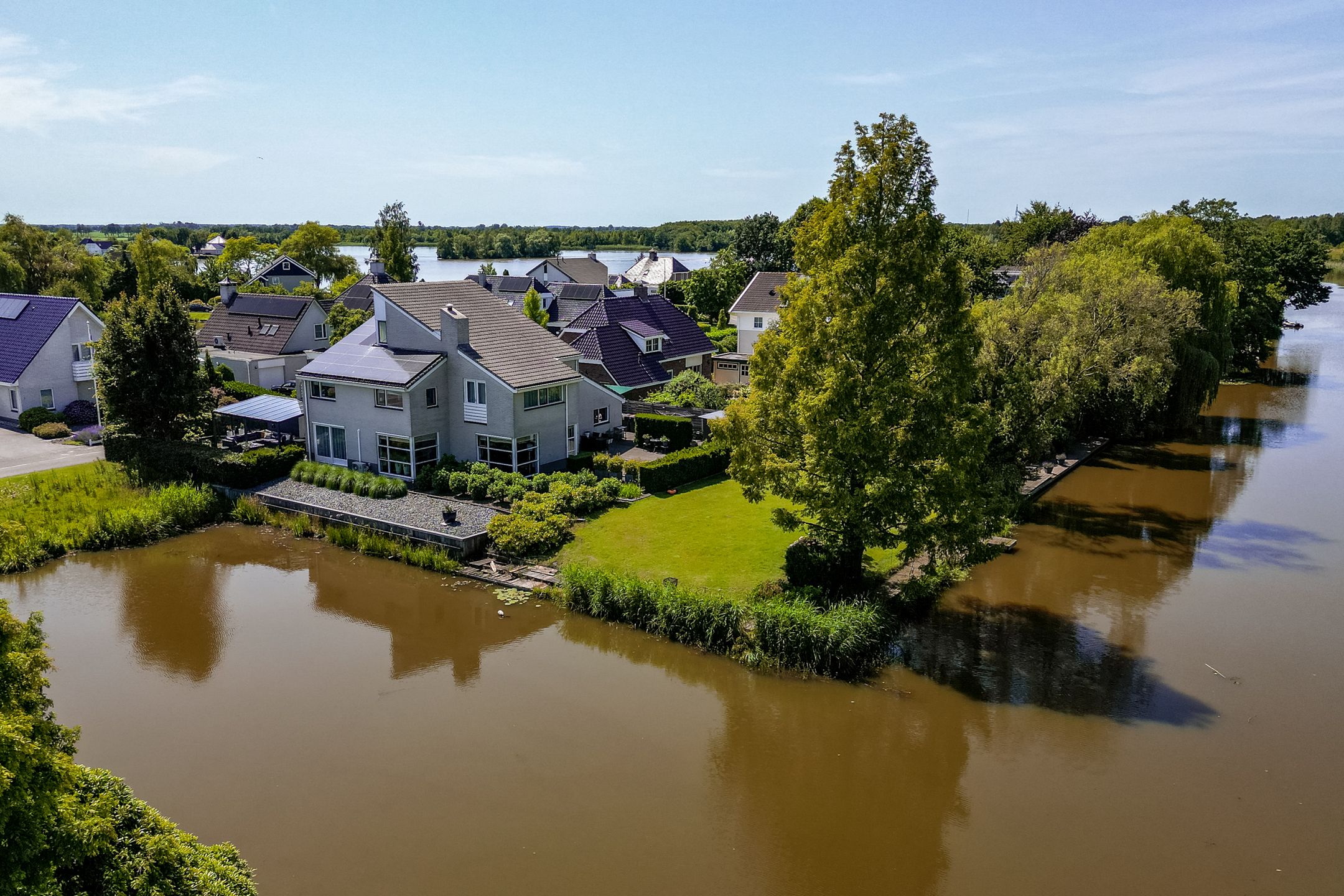 Foto van Knobbelzwaan 2, Wildervank