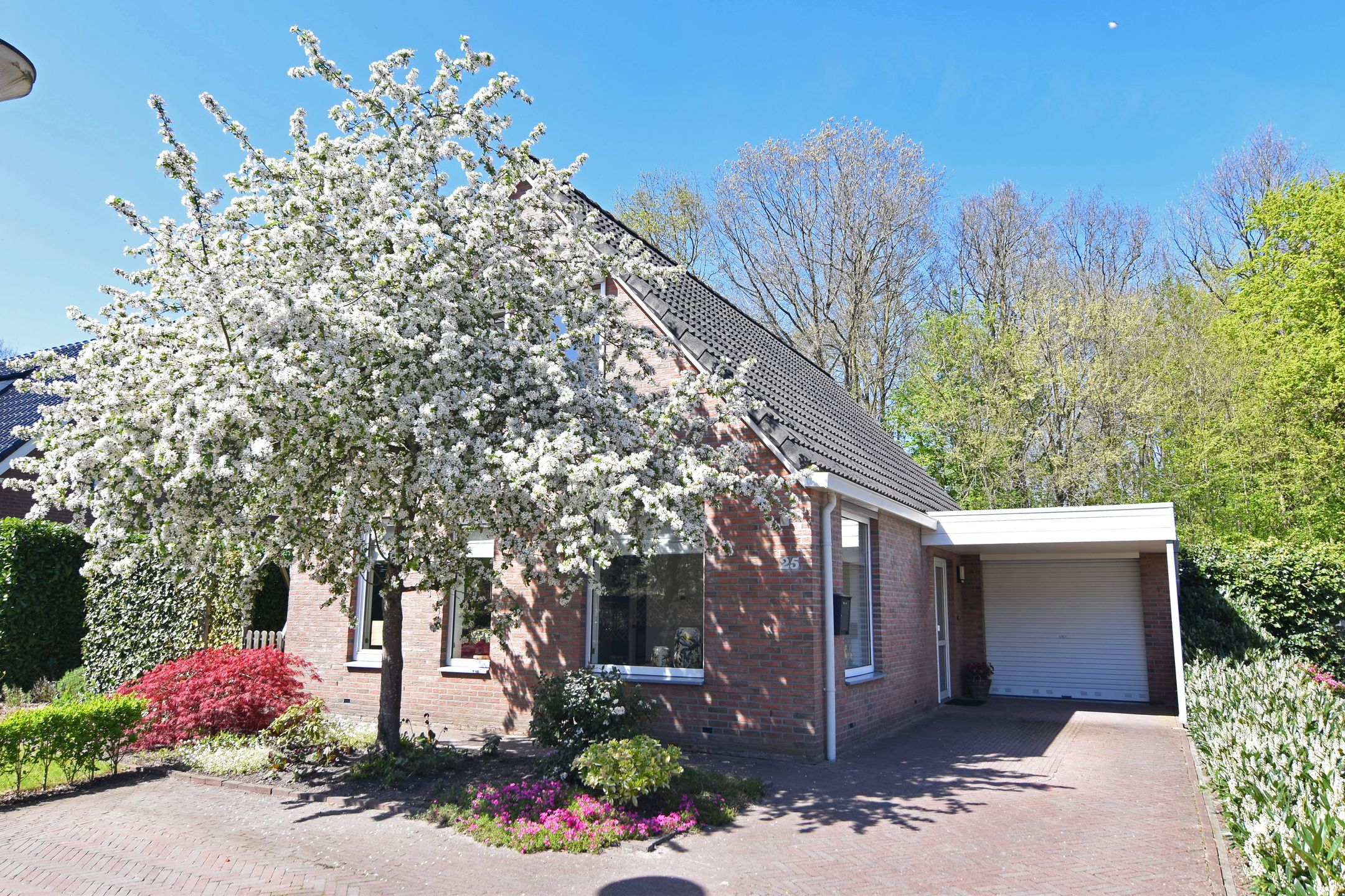 Foto van Berkenlaan 25, Westerlee