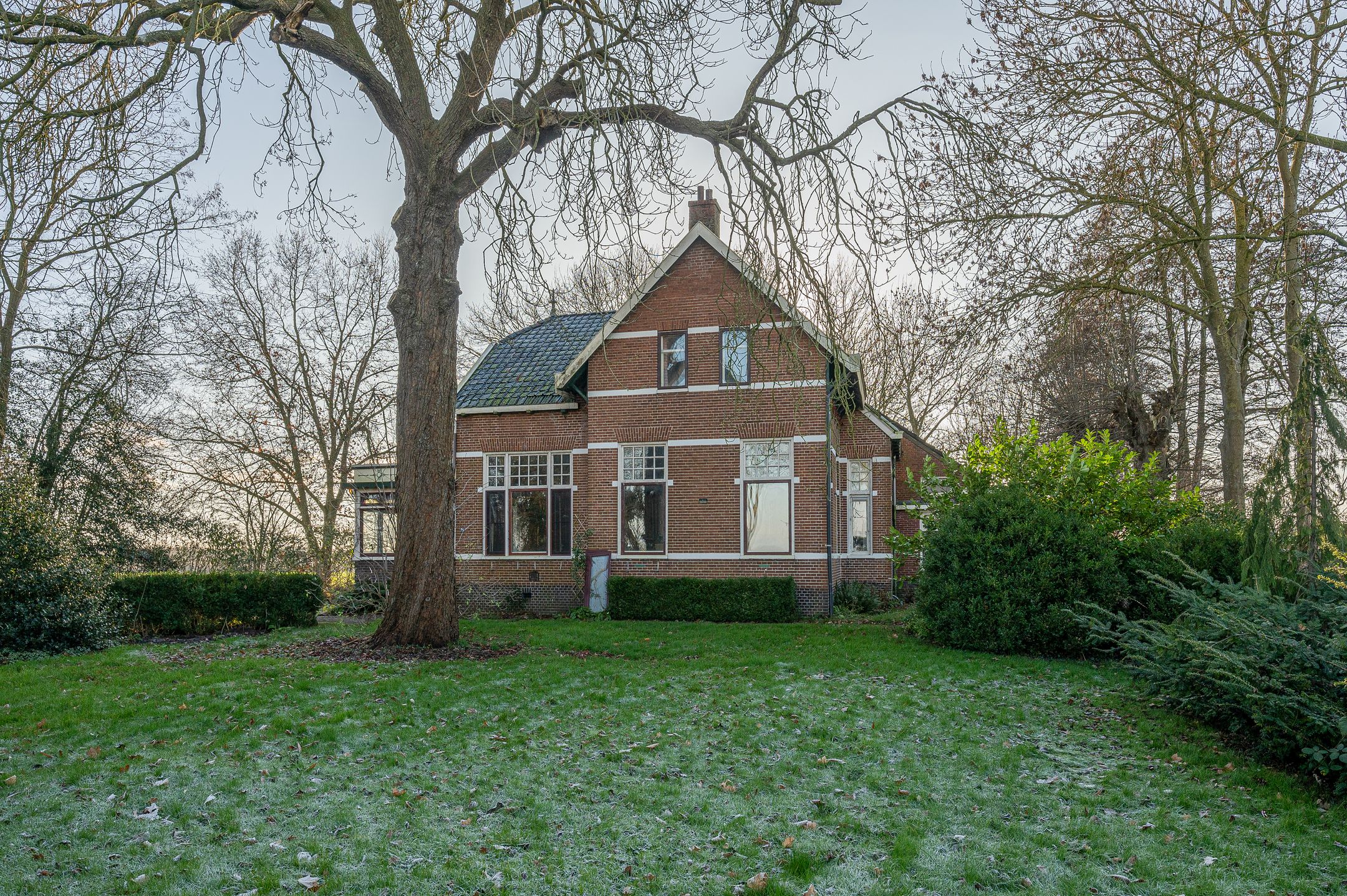 Foto van Goldhoorn 25, Finsterwolde