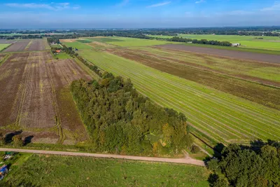 Foto van 2E Dalweg 10, Vriescheloo Bouwgrond