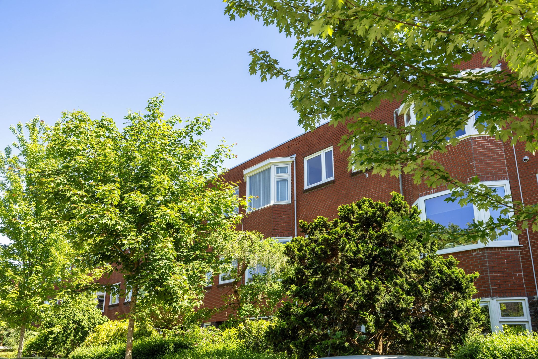Foto van Van Swinderenstraat 23B, Groningen