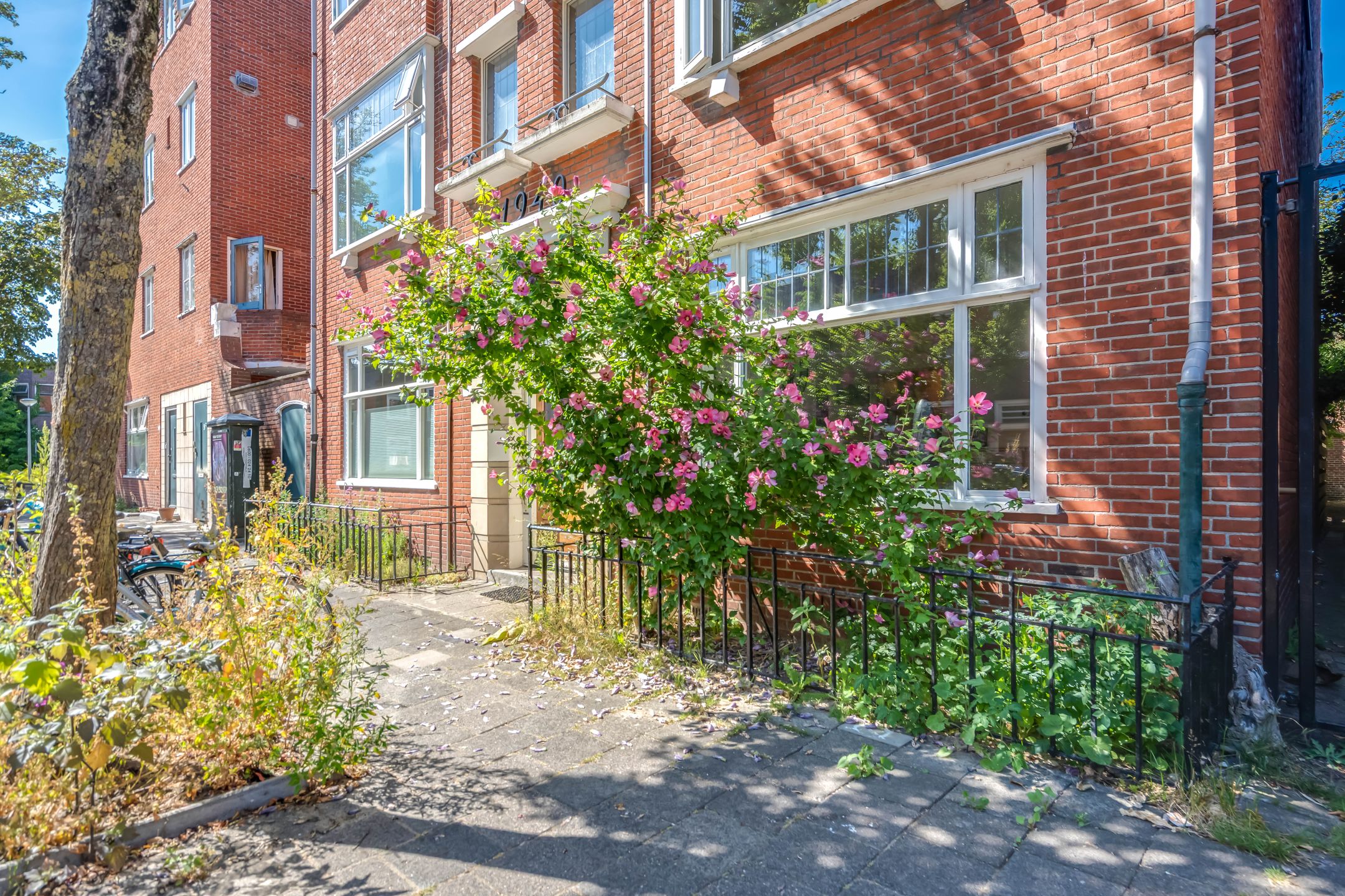 Foto van Wassenberghstraat 91, Groningen