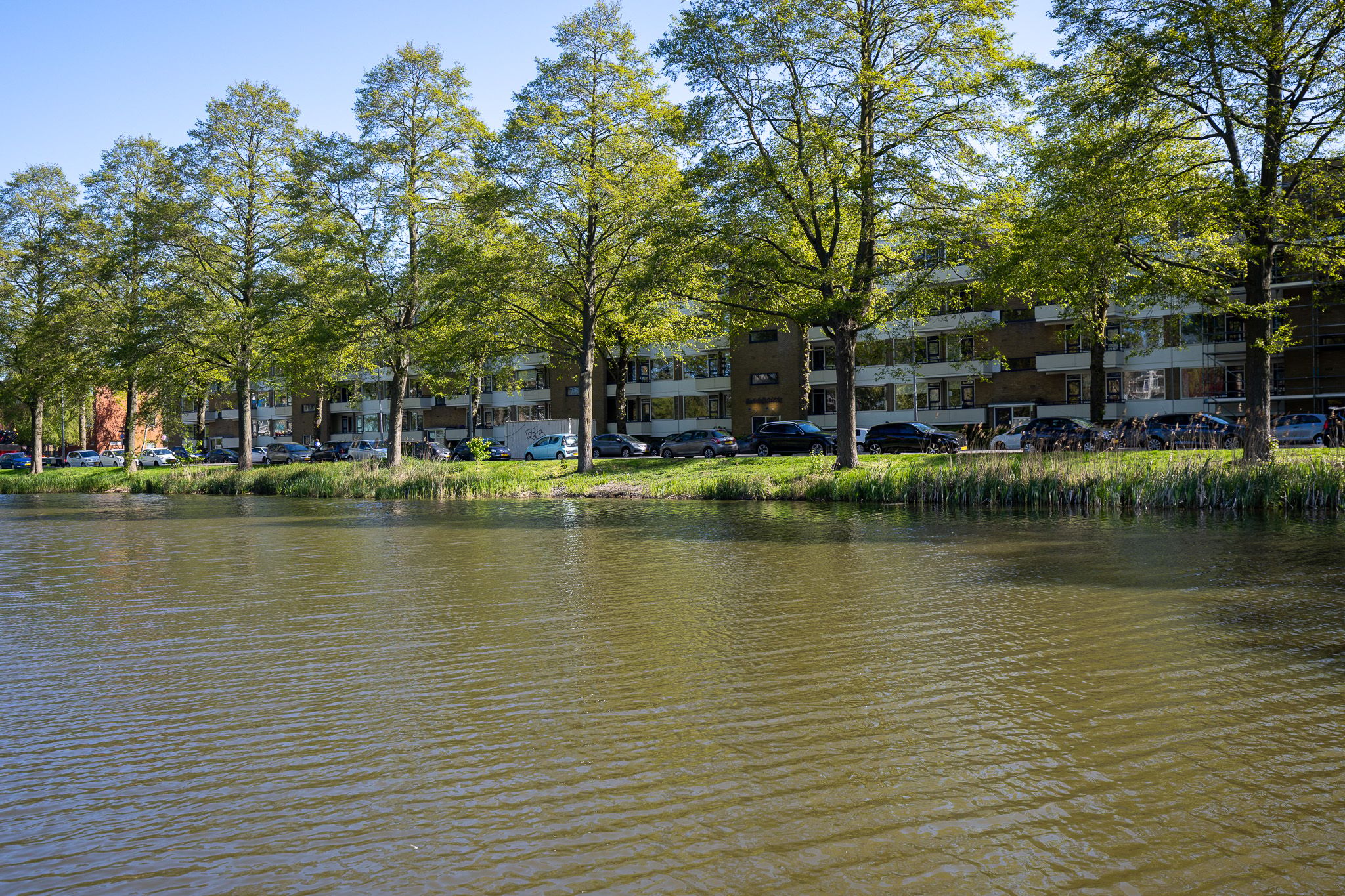 Foto van Vondellaan 262, Groningen