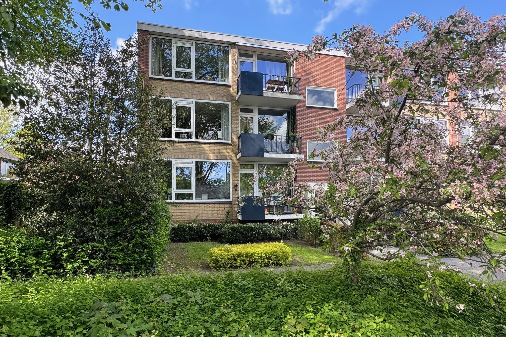 Foto van Helperzoom 417, Groningen