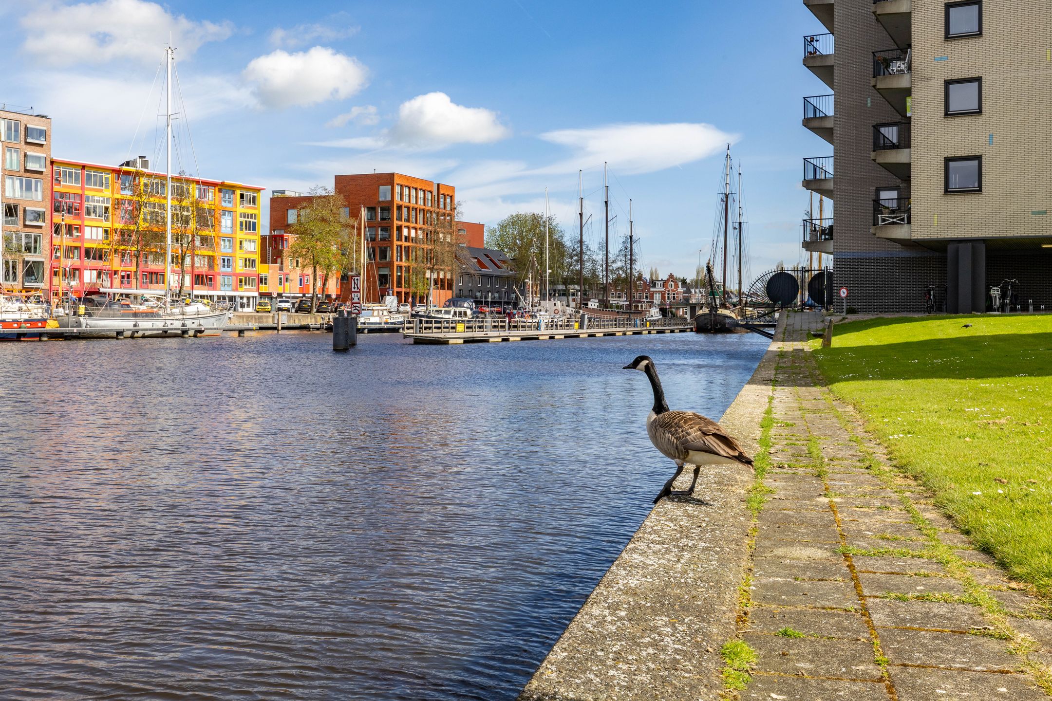 Foto van De Brink 116, Groningen