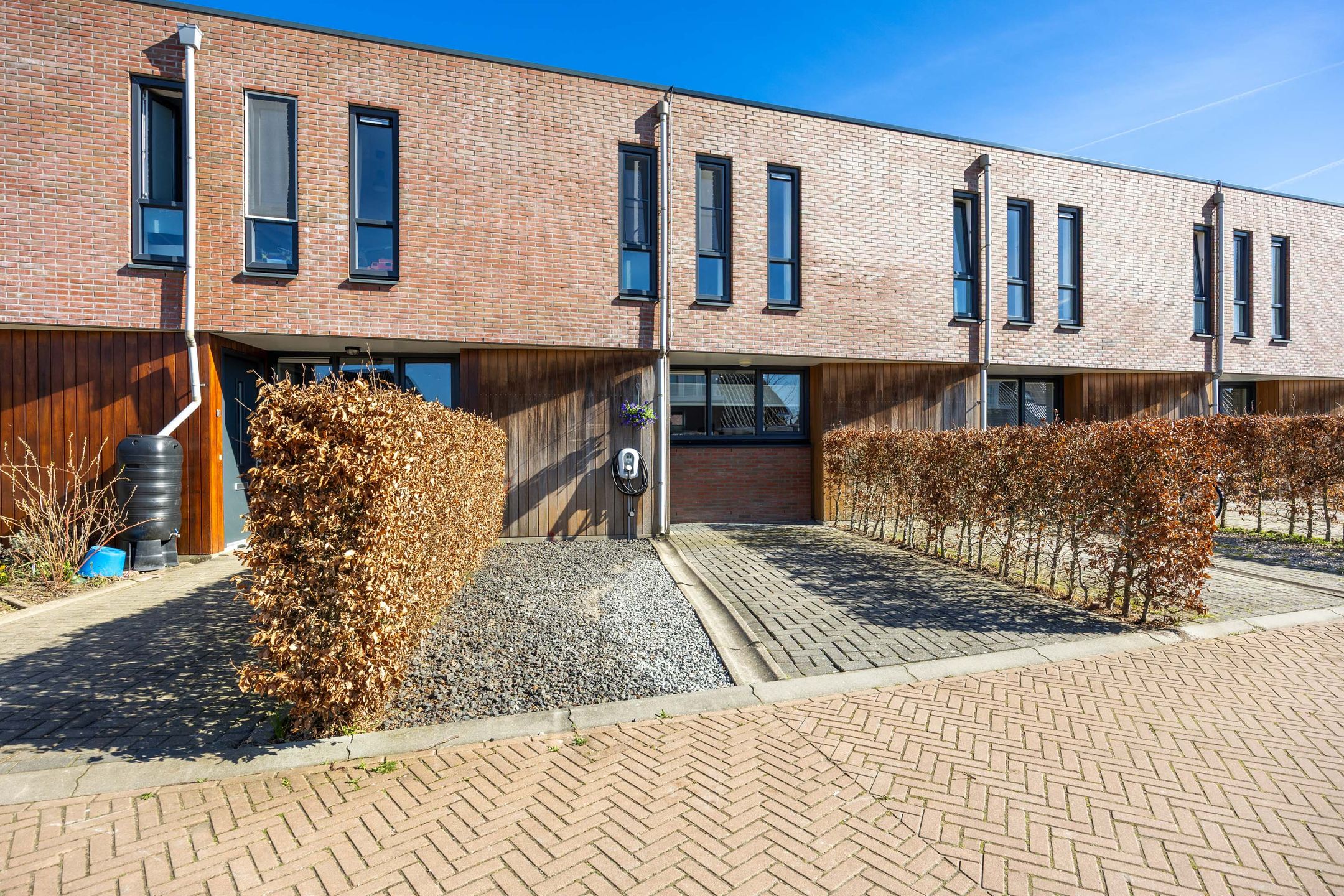 Foto van Rietgans 11, Bedum