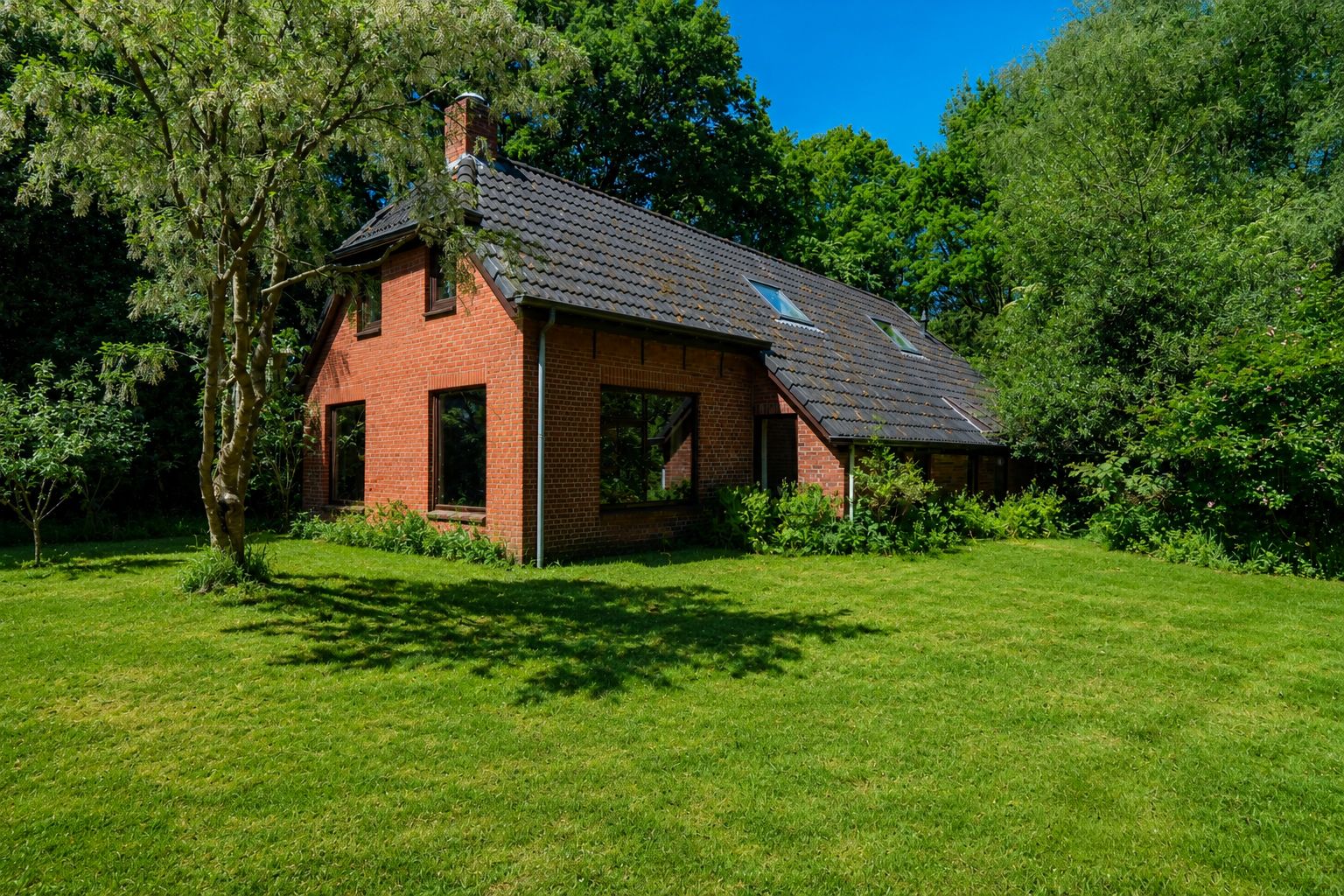 Foto van Verlengde Havinga's reed 3, Grootegast
