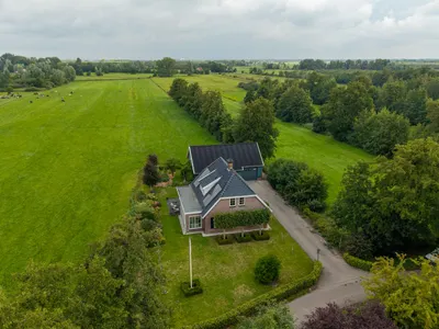 Foto van Peebos 1, Opende