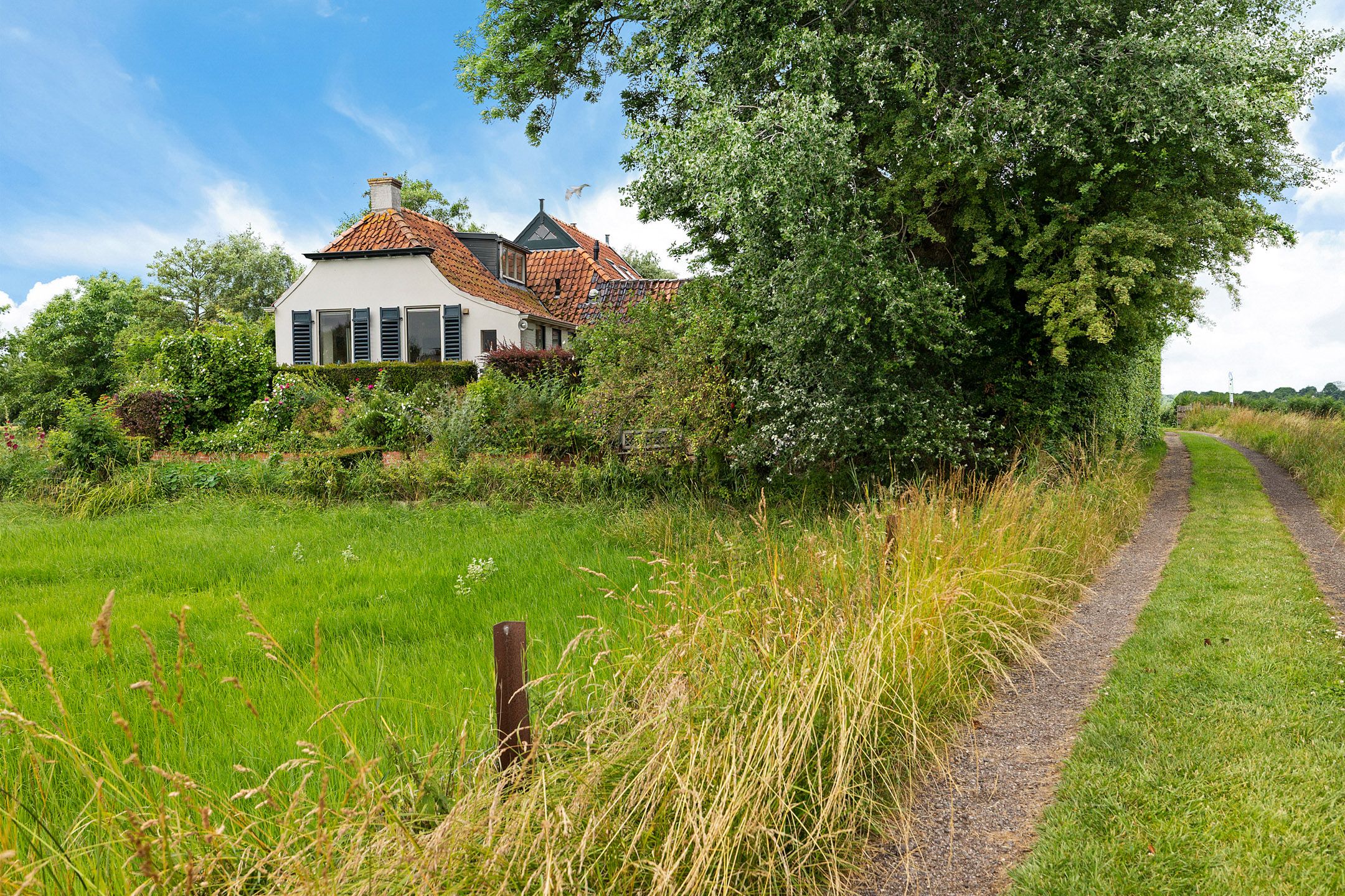 Foto van Torenstraat 42, Ezinge